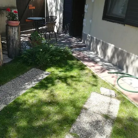 Voeroes Macska Vendeghaz Gasthuis