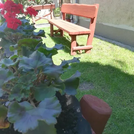 Voeroes Macska Vendeghaz 3*