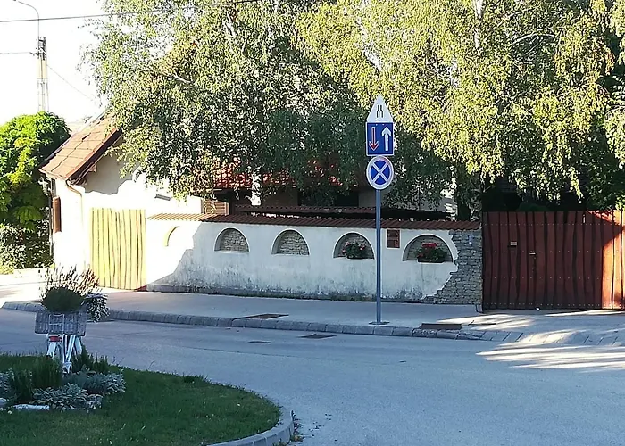 Voeroes Macska Vendeghaz 게스트하우스 Szentkirályszabadja